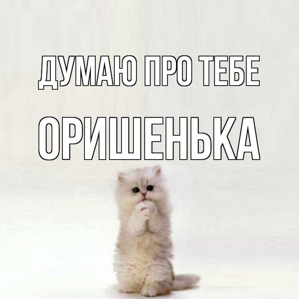 Открытка на каждый день з підписом, Оришенька Думаю про тебе кот стоит на задних лапах Прикольна листівка з побажанням онлайн скачати безкоштовно 