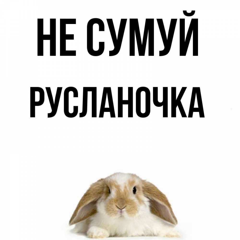 Открытка на каждый день з підписом, Русланочка Не сумуй коричнево белый заяц с большими ушками Прикольна листівка з побажанням онлайн скачати безкоштовно 