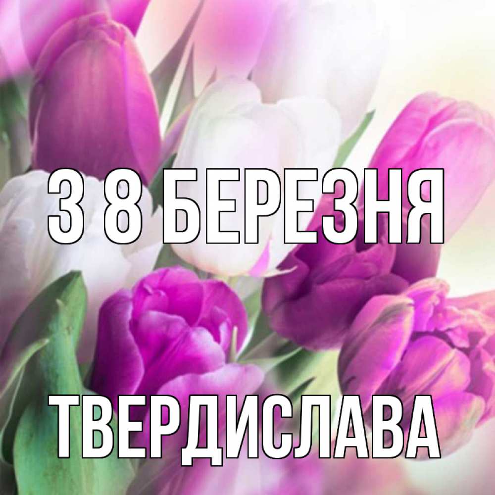 Открытка на каждый день з підписом, Твердислава З 8 БЕРЕЗНЯ весна 1 Прикольна листівка з побажанням онлайн скачати безкоштовно 
