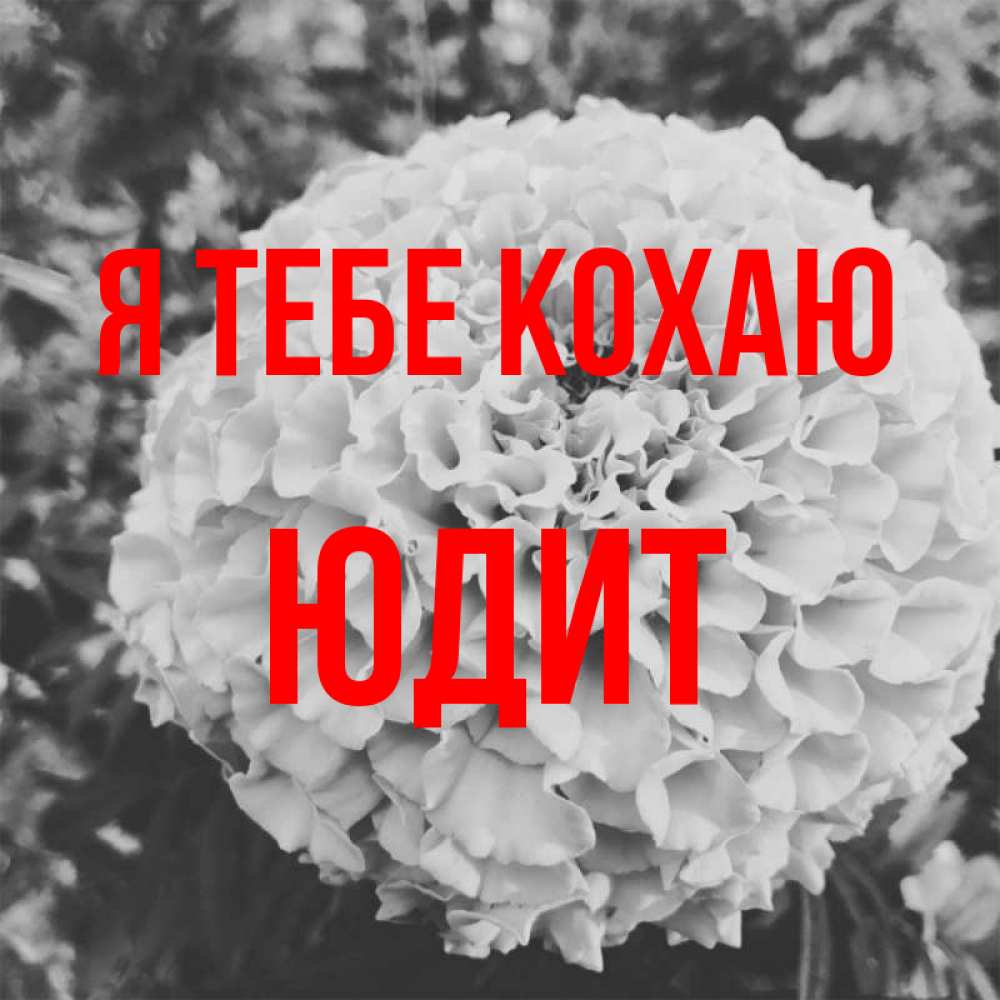 Открытка на каждый день з підписом, Юдит Я тебе кохаю подпись Прикольна листівка з побажанням онлайн скачати безкоштовно 