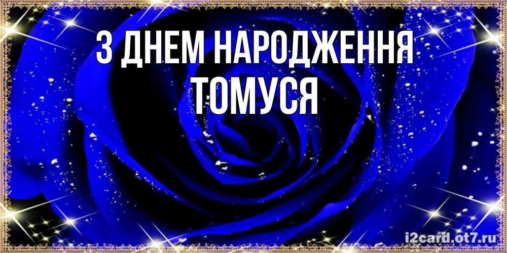 Открытка на каждый день з підписом, Томуся З Днем народження голубые цветы в росе Прикольна листівка з побажанням онлайн скачати безкоштовно 