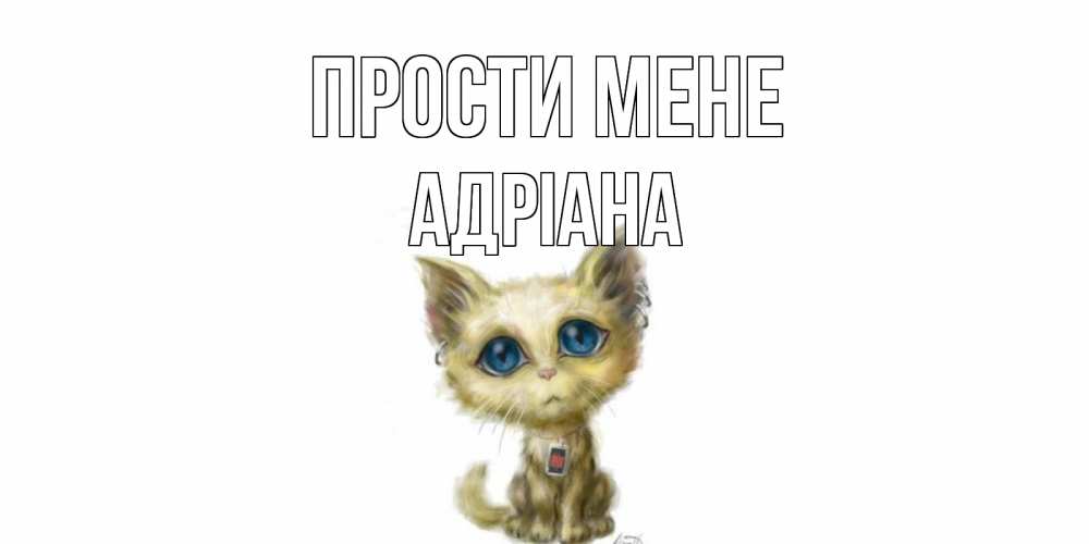 Открытка на каждый день з підписом, Адріана Прости мене прости меня открытка с котиком Прикольна листівка з побажанням онлайн скачати безкоштовно 