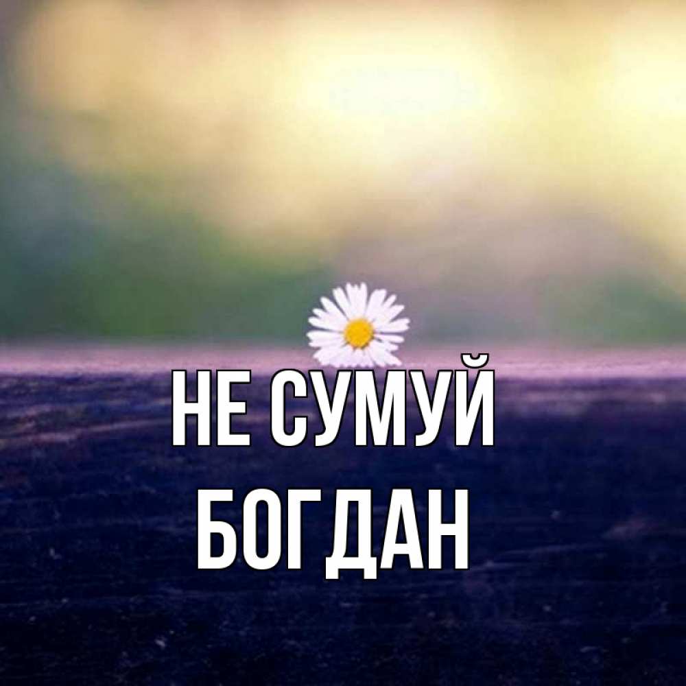 Открытка на каждый день з підписом, Богдан Не сумуй красота Прикольна листівка з побажанням онлайн скачати безкоштовно 