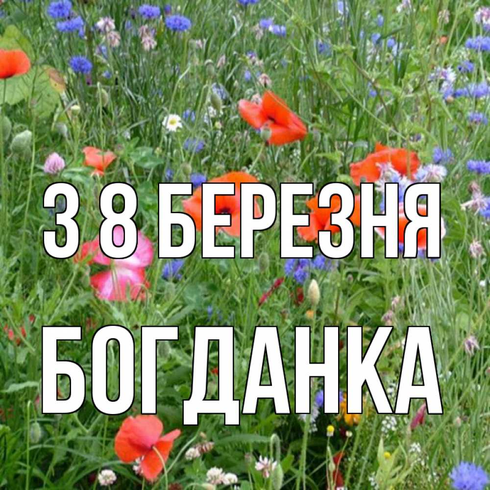 Открытка на каждый день з підписом, Богданка З 8 БЕРЕЗНЯ международный женский день 4 Прикольна листівка з побажанням онлайн скачати безкоштовно 