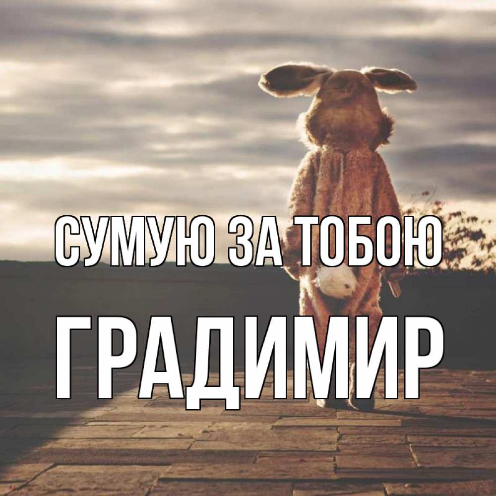 Открытка на каждый день з підписом, Градимир Сумую за тобою даже в костюме зайца Прикольна листівка з побажанням онлайн скачати безкоштовно 