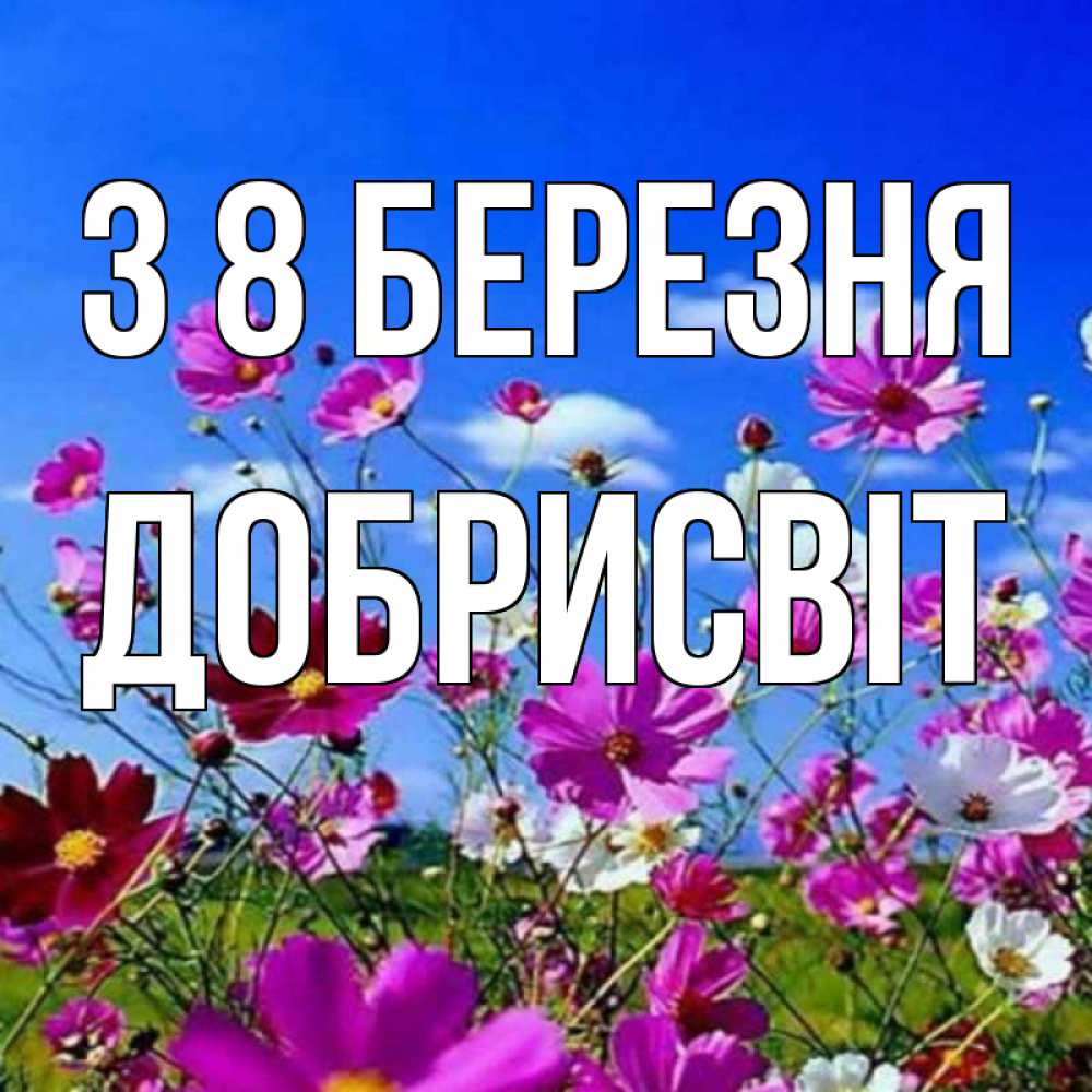 Открытка на каждый день з підписом, Добрисвіт З 8 БЕРЕЗНЯ цветы Прикольна листівка з побажанням онлайн скачати безкоштовно 