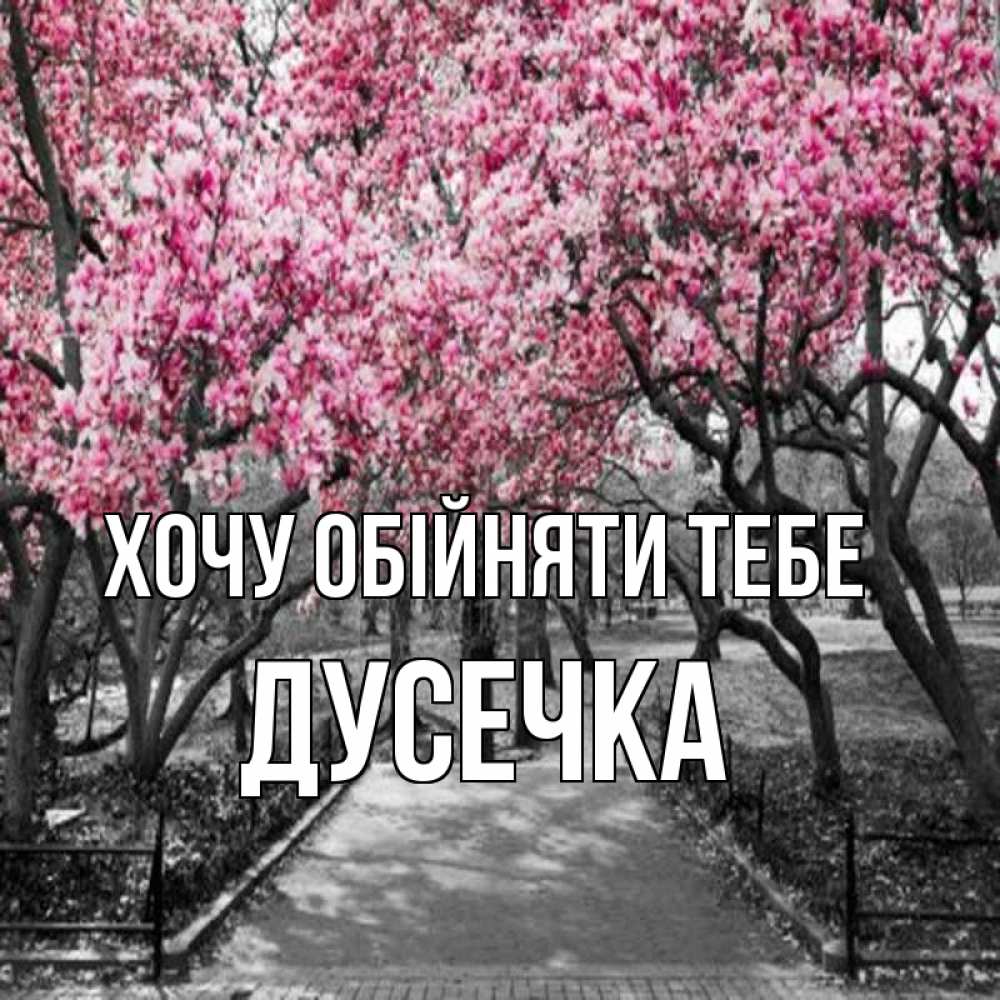 Открытка на каждый день з підписом, Дусечка Хочу обійняти тебе обработанное фото Прикольна листівка з побажанням онлайн скачати безкоштовно 