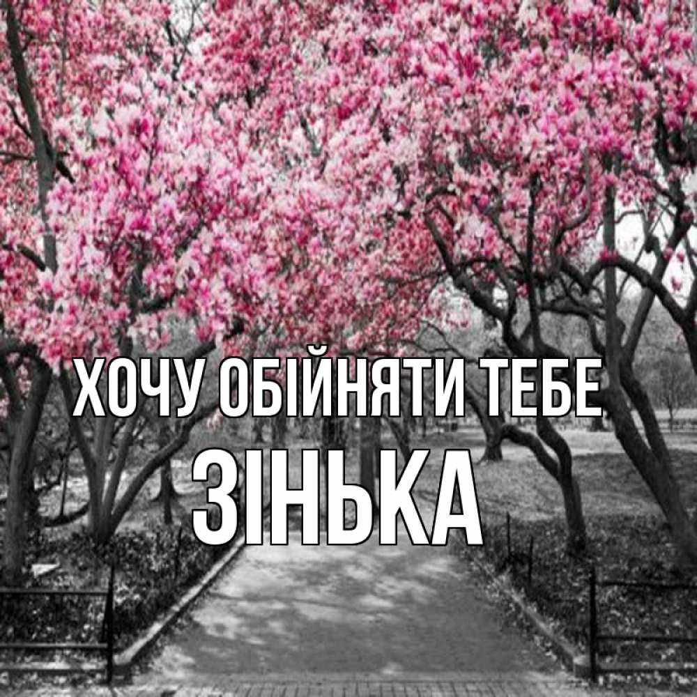 Открытка на каждый день з підписом, Зінька Хочу обійняти тебе обработанное фото Прикольна листівка з побажанням онлайн скачати безкоштовно 