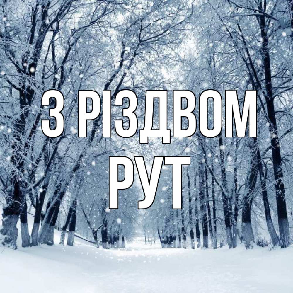 Открытка на каждый день з підписом, Рут З Різдвом снег, лес, парк Прикольна листівка з побажанням онлайн скачати безкоштовно 