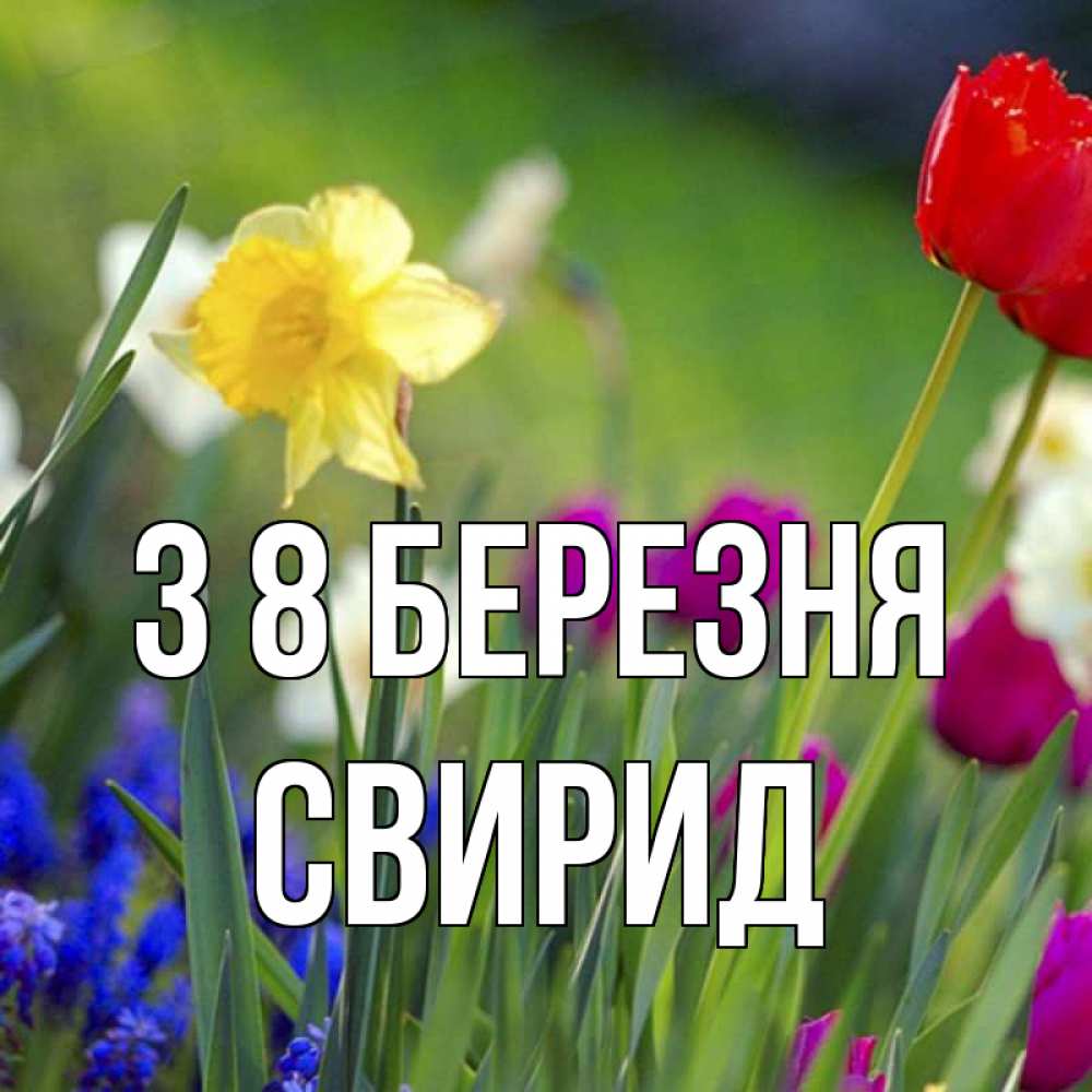Открытка на каждый день з підписом, Свирид З 8 БЕРЕЗНЯ международный женский день 3 Прикольна листівка з побажанням онлайн скачати безкоштовно 