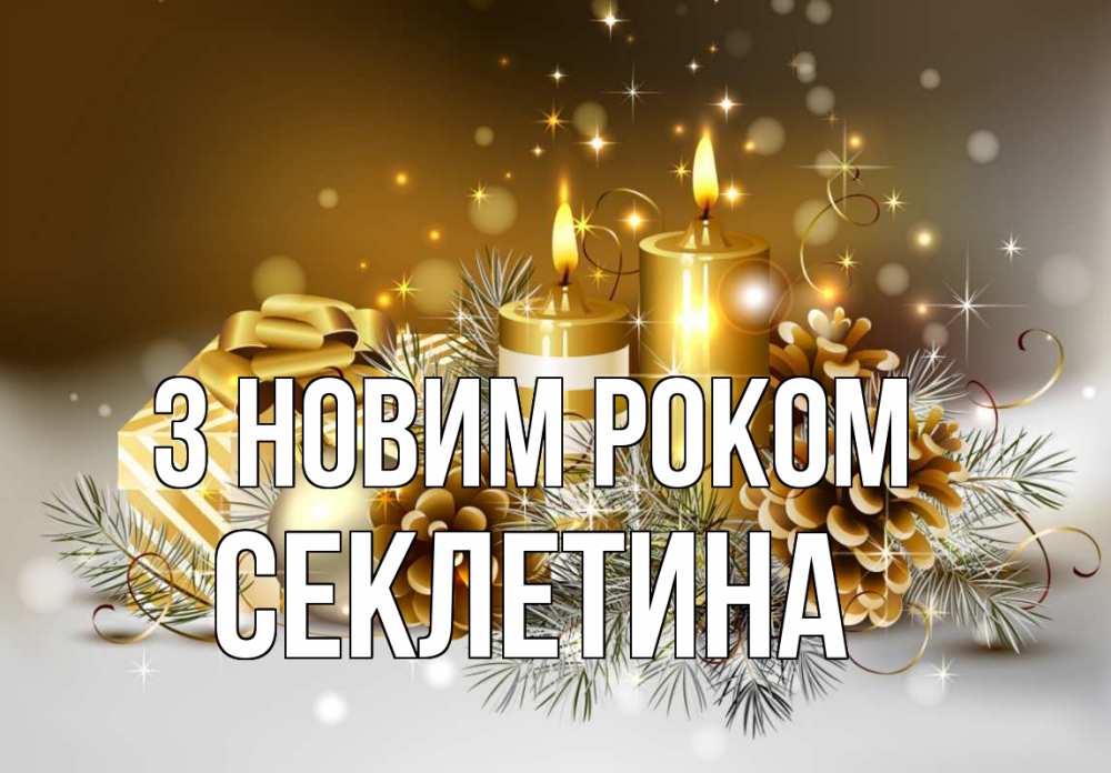 Открытка на каждый день з підписом, Секлетина З новим роком новый год Прикольна листівка з побажанням онлайн скачати безкоштовно 