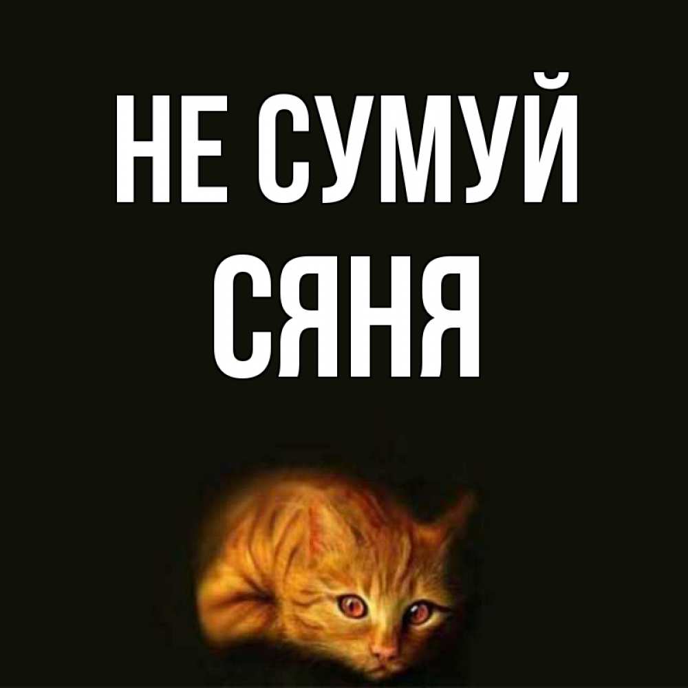 Открытка на каждый день з підписом, Сяня Не сумуй лежащий кот в темноте Прикольна листівка з побажанням онлайн скачати безкоштовно 