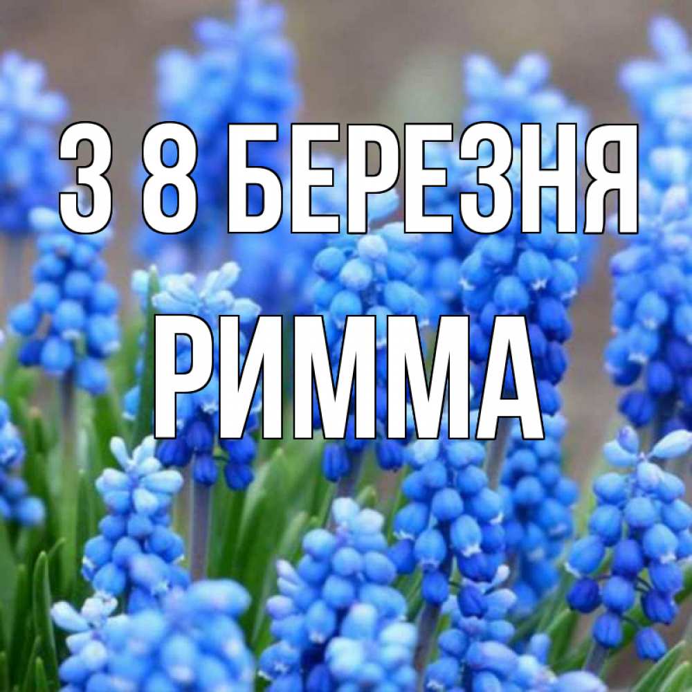 Открытка на каждый день з підписом, Римма З 8 БЕРЕЗНЯ Поздравительная открытка для женщин с цветами на праздничную дату Прикольна листівка з побажанням онлайн скачати безкоштовно 