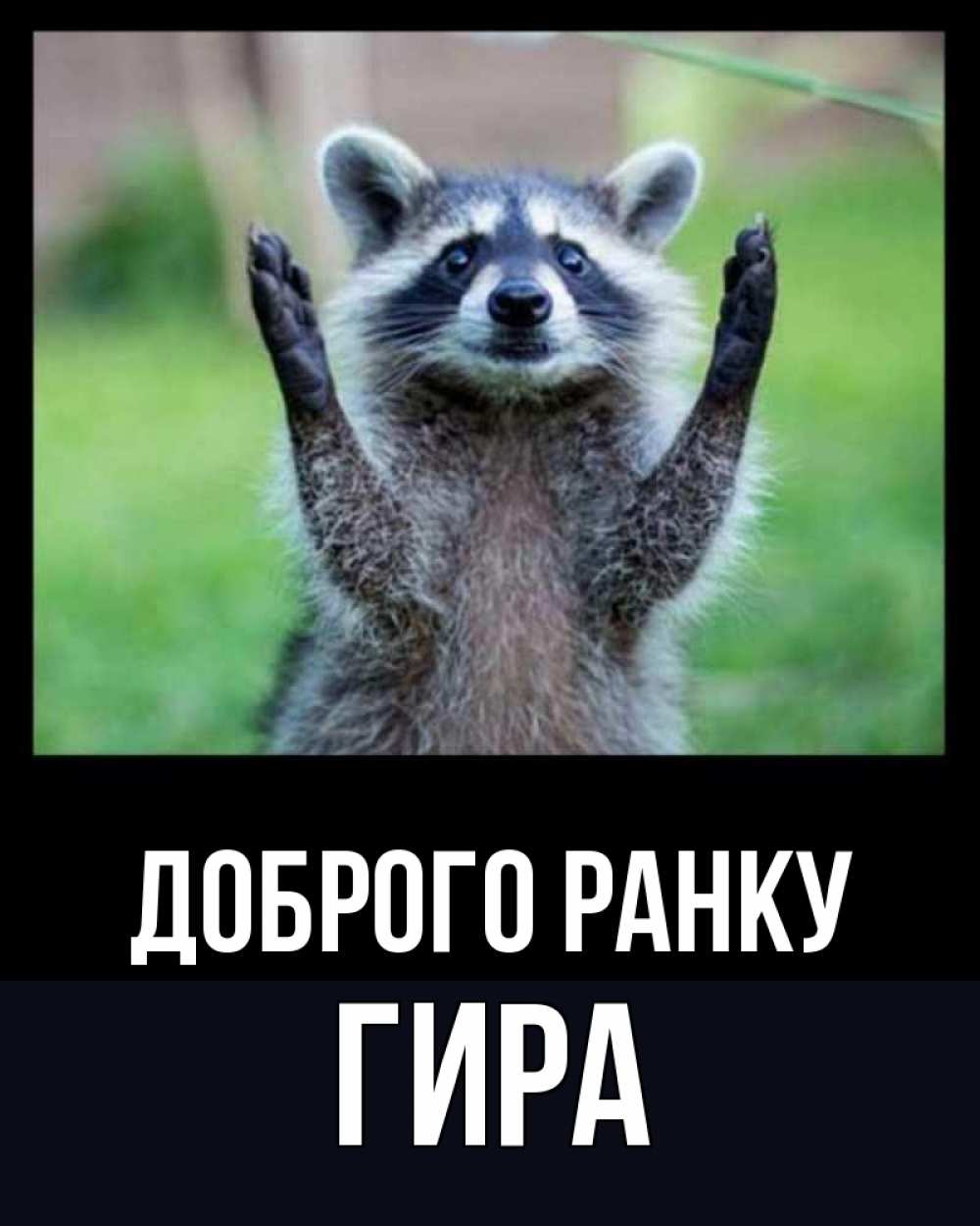 Открытка на каждый день з підписом, Гира Доброго ранку хорошее настроение утречком Прикольна листівка з побажанням онлайн скачати безкоштовно 