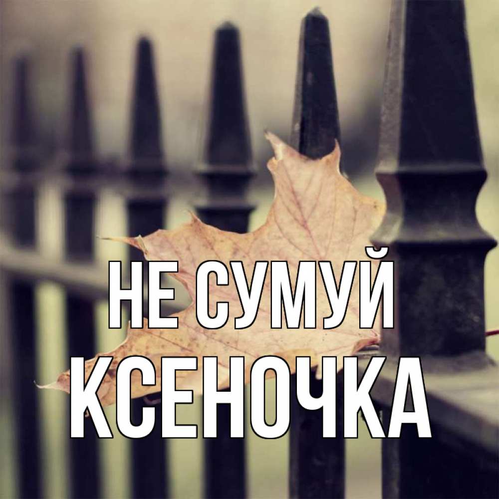 Открытка на каждый день з підписом, Ксеночка Не сумуй лист клена Прикольна листівка з побажанням онлайн скачати безкоштовно 