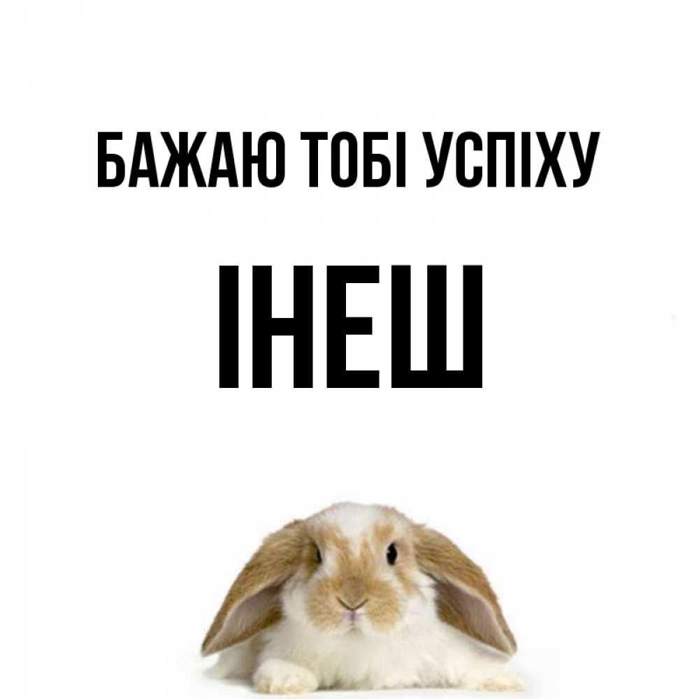 Открытка на каждый день з підписом, Інеш Бажаю тобі успіху открытки с произвольным текстом который можно вставить в открытку и создать ее самостоятельно бесплатно онлайн Прикольна листівка з побажанням онлайн скачати безкоштовно 