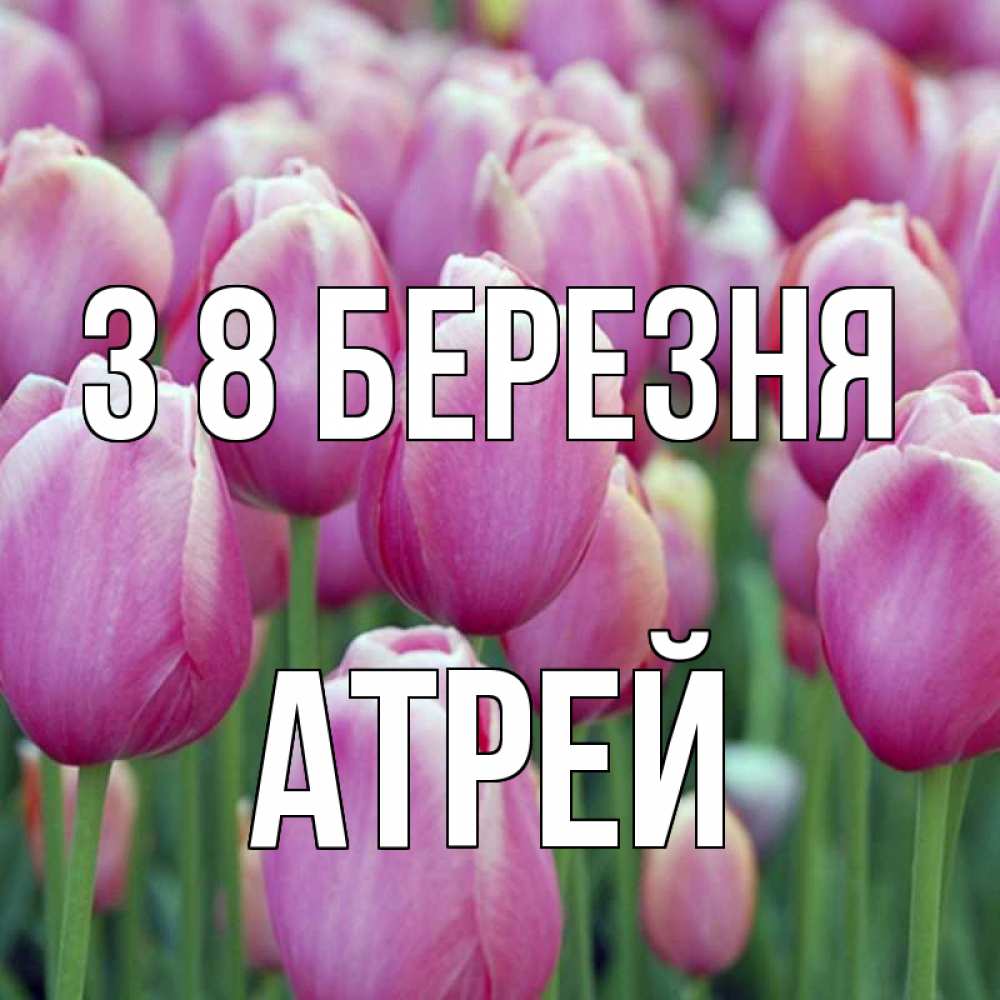 Открытка на каждый день з підписом, Атрей З 8 БЕРЕЗНЯ на международный женский день 3 Прикольна листівка з побажанням онлайн скачати безкоштовно 