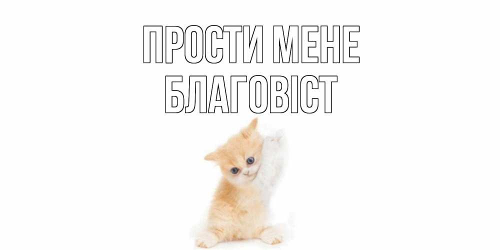 Открытка на каждый день з підписом, Благовіст Прости мене кот Прикольна листівка з побажанням онлайн скачати безкоштовно 