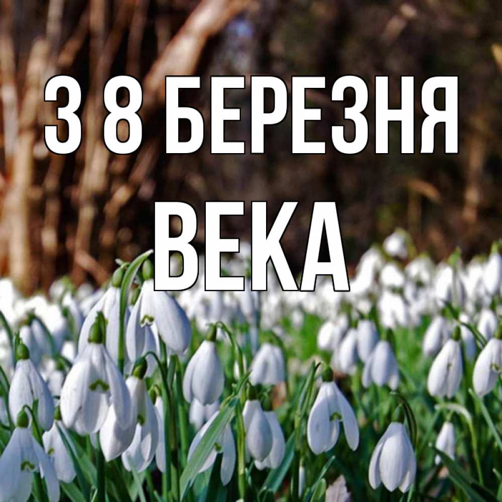 Открытка на каждый день з підписом, Века З 8 БЕРЕЗНЯ с подснежниками 1 Прикольна листівка з побажанням онлайн скачати безкоштовно 