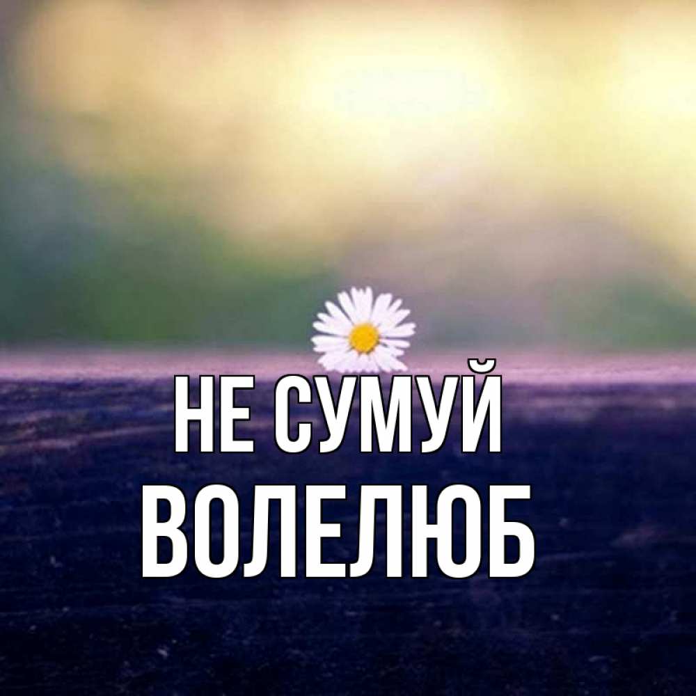 Открытка на каждый день з підписом, Волелюб Не сумуй красота Прикольна листівка з побажанням онлайн скачати безкоштовно 