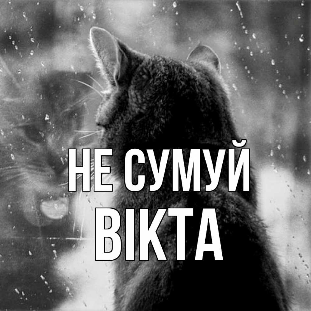 Открытка на каждый день з підписом, Вікта Не сумуй отражение кота 1 Прикольна листівка з побажанням онлайн скачати безкоштовно 