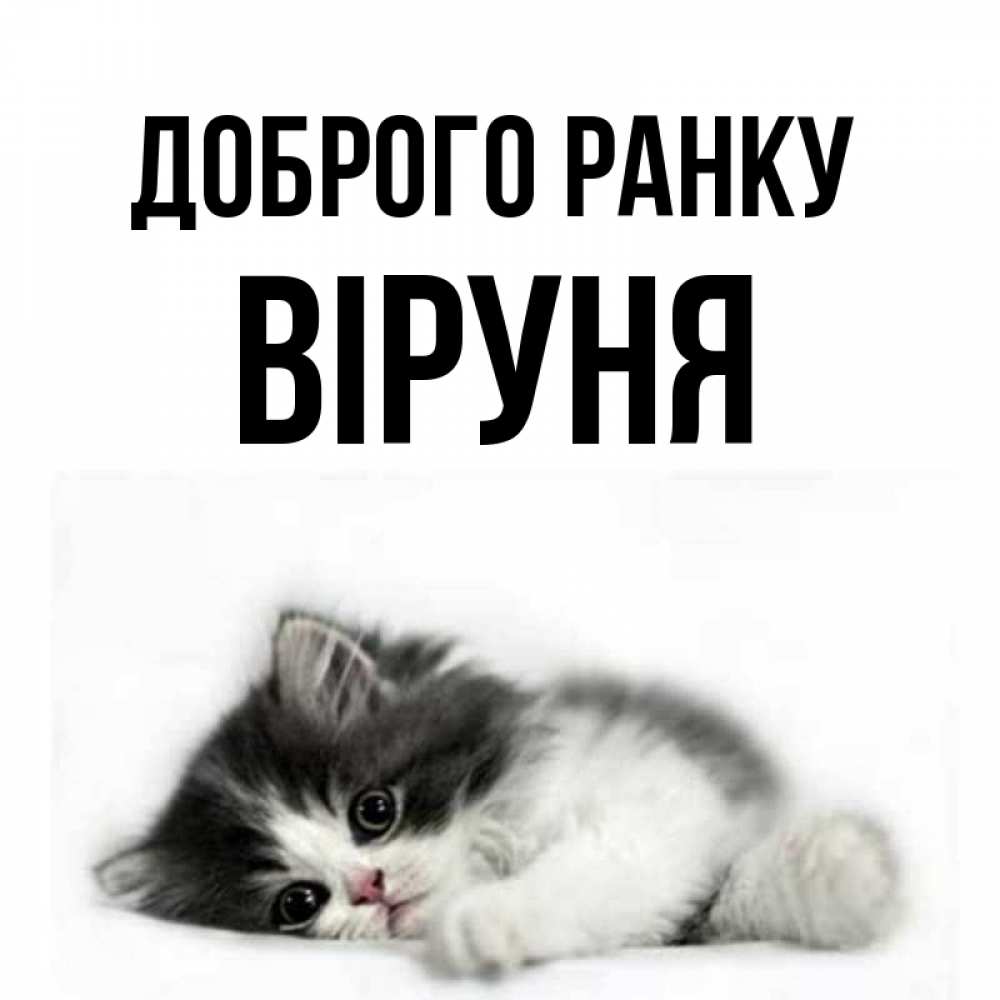 Открытка на каждый день з підписом, Віруня Доброго ранку кот лапки Прикольна листівка з побажанням онлайн скачати безкоштовно 