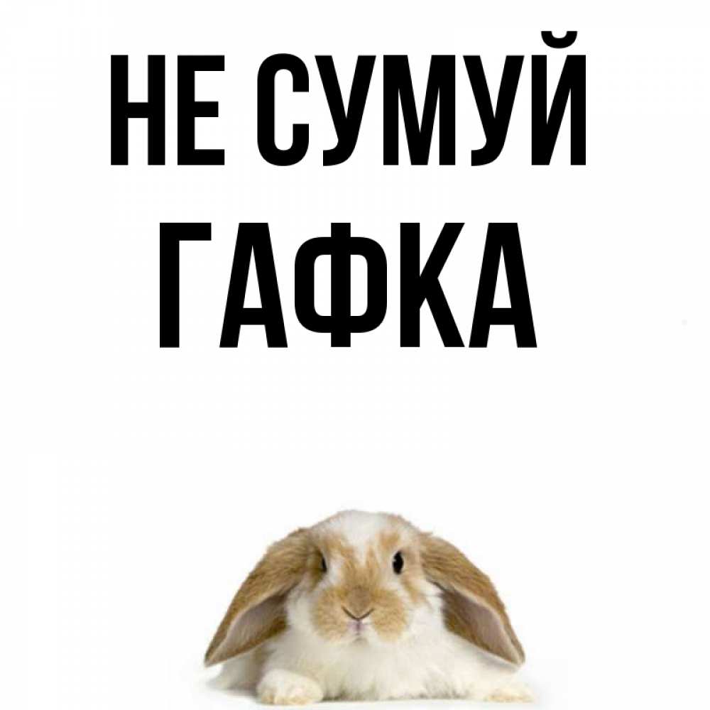 Открытка на каждый день з підписом, Гафка Не сумуй коричнево белый заяц с большими ушками Прикольна листівка з побажанням онлайн скачати безкоштовно 