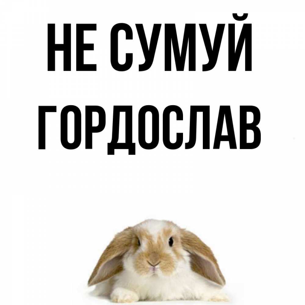 Открытка на каждый день з підписом, Гордослав Не сумуй коричнево белый заяц с большими ушками Прикольна листівка з побажанням онлайн скачати безкоштовно 