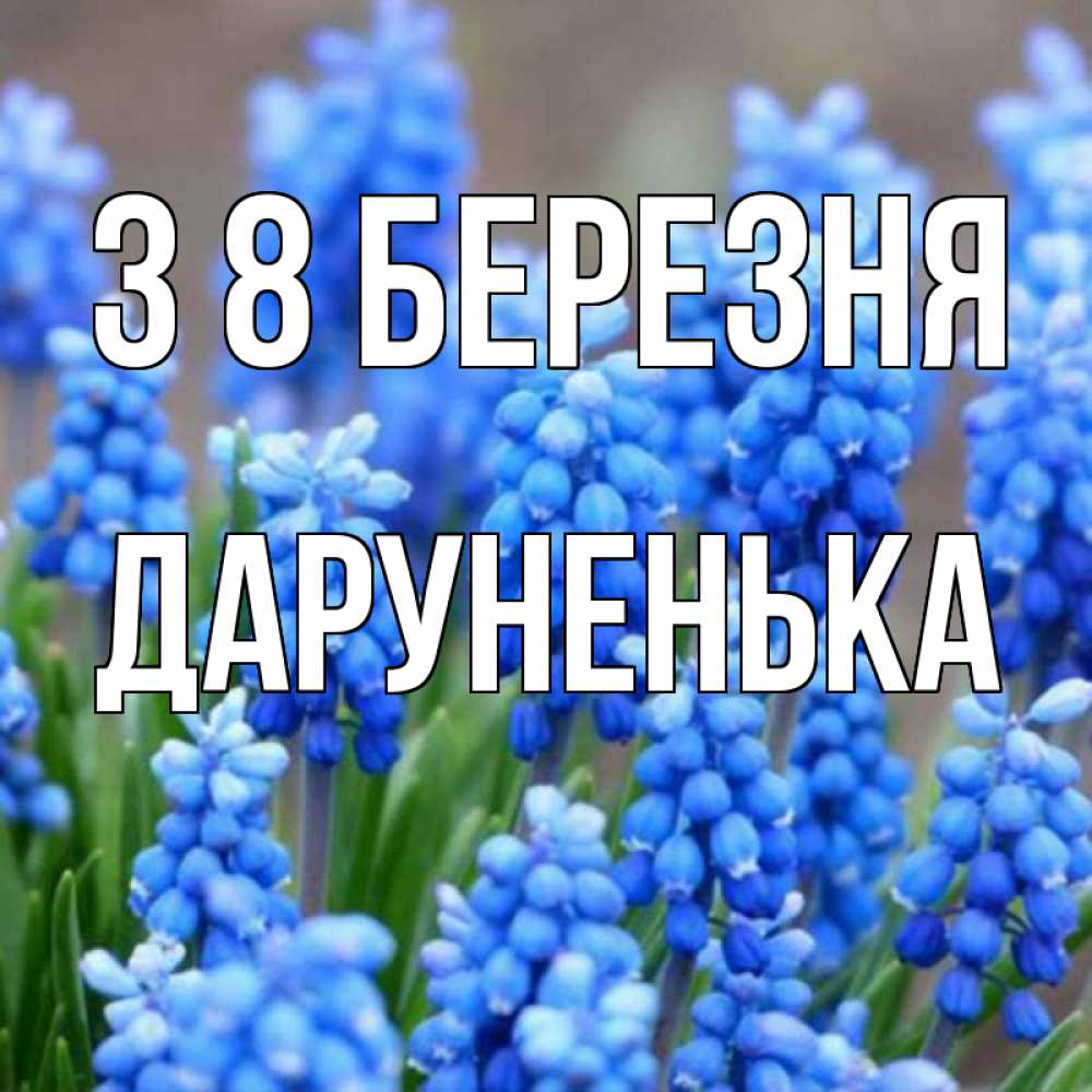 Открытка на каждый день з підписом, Даруненька З 8 БЕРЕЗНЯ Поздравительная открытка для женщин с цветами на праздничную дату Прикольна листівка з побажанням онлайн скачати безкоштовно 