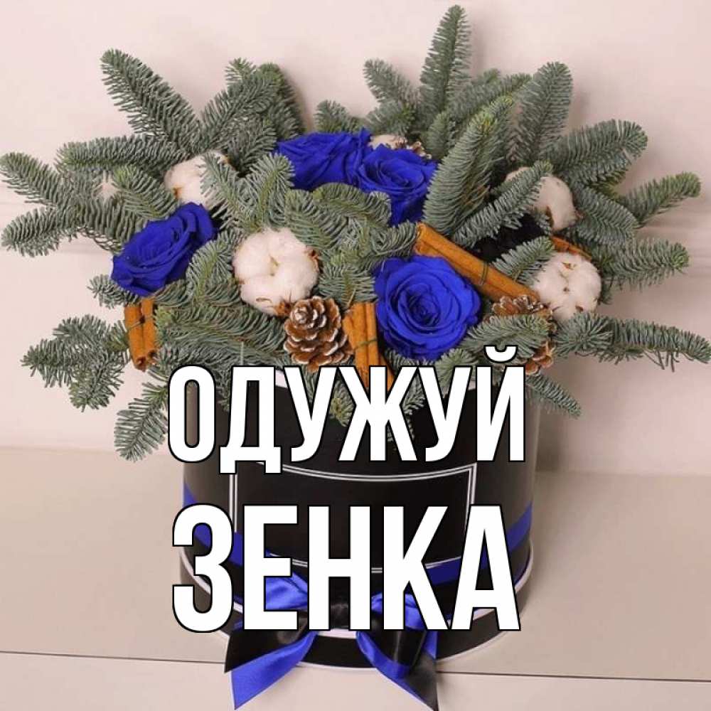 Открытка на каждый день з підписом, Зенка Одужуй короче кто то загрузил эти шишки Прикольна листівка з побажанням онлайн скачати безкоштовно 