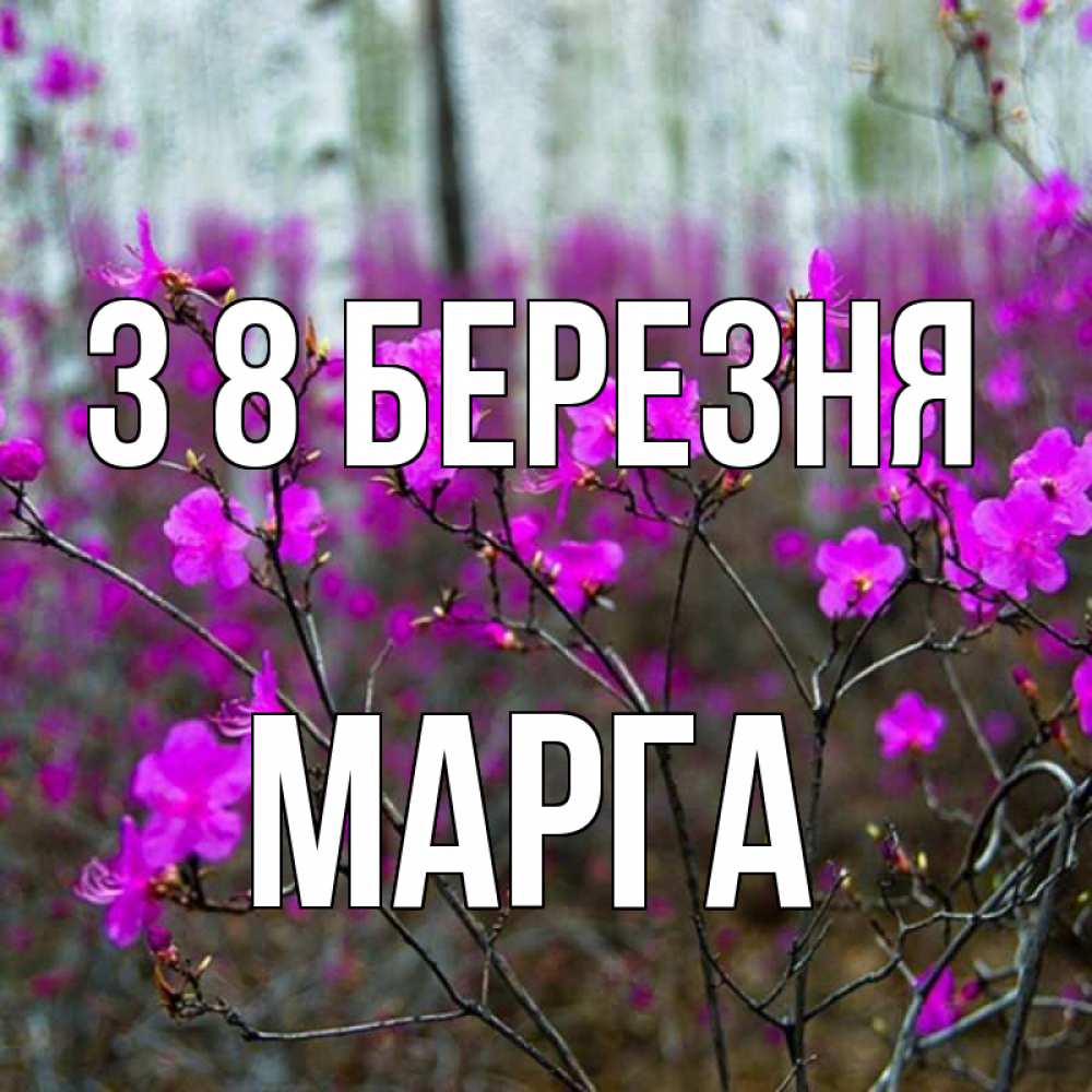 Открытка на каждый день з підписом, Марга З 8 БЕРЕЗНЯ дикие цветы Прикольна листівка з побажанням онлайн скачати безкоштовно 