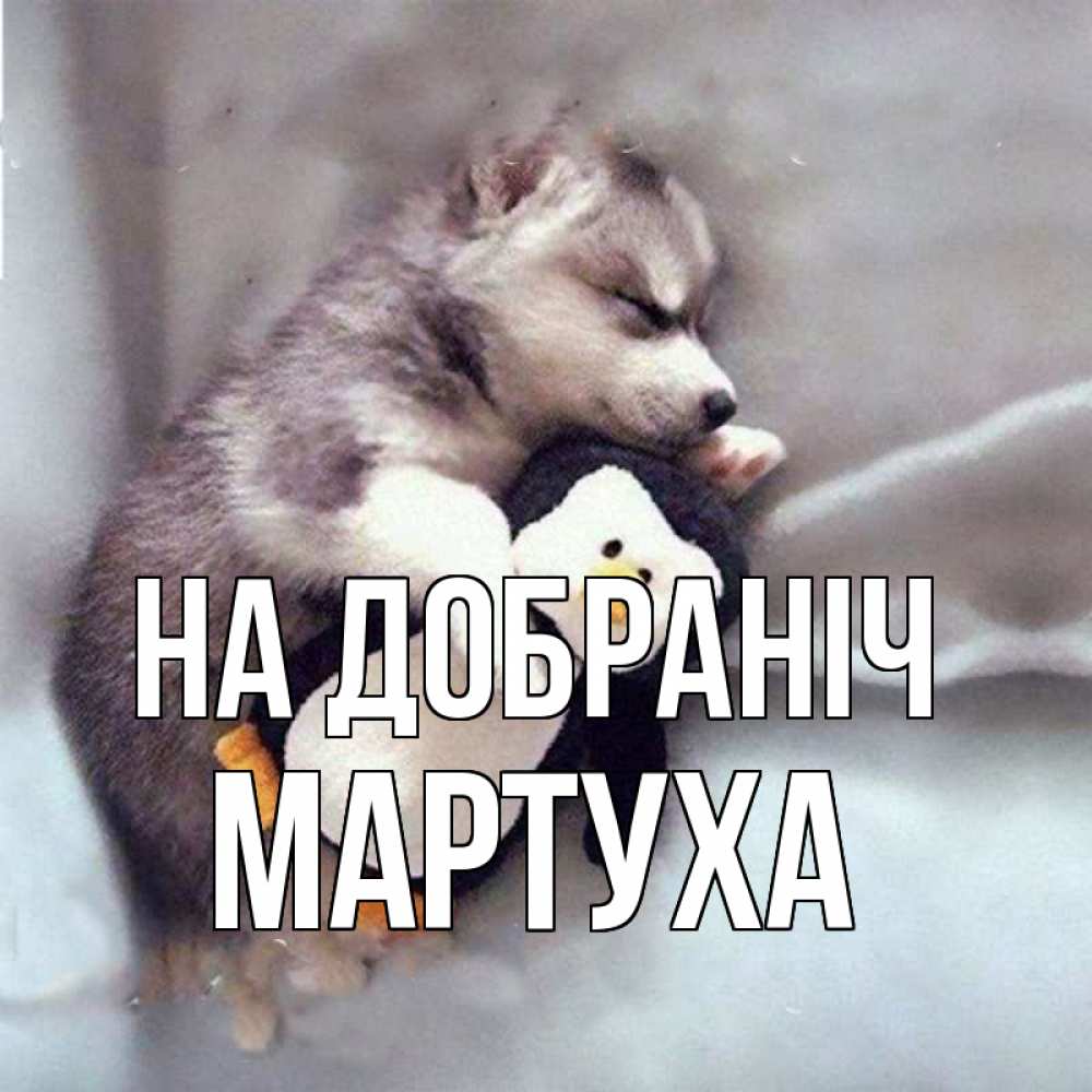 Открытка на каждый день з підписом, Мартуха На добраніч обнимашки щенка и пингвина Прикольна листівка з побажанням онлайн скачати безкоштовно 