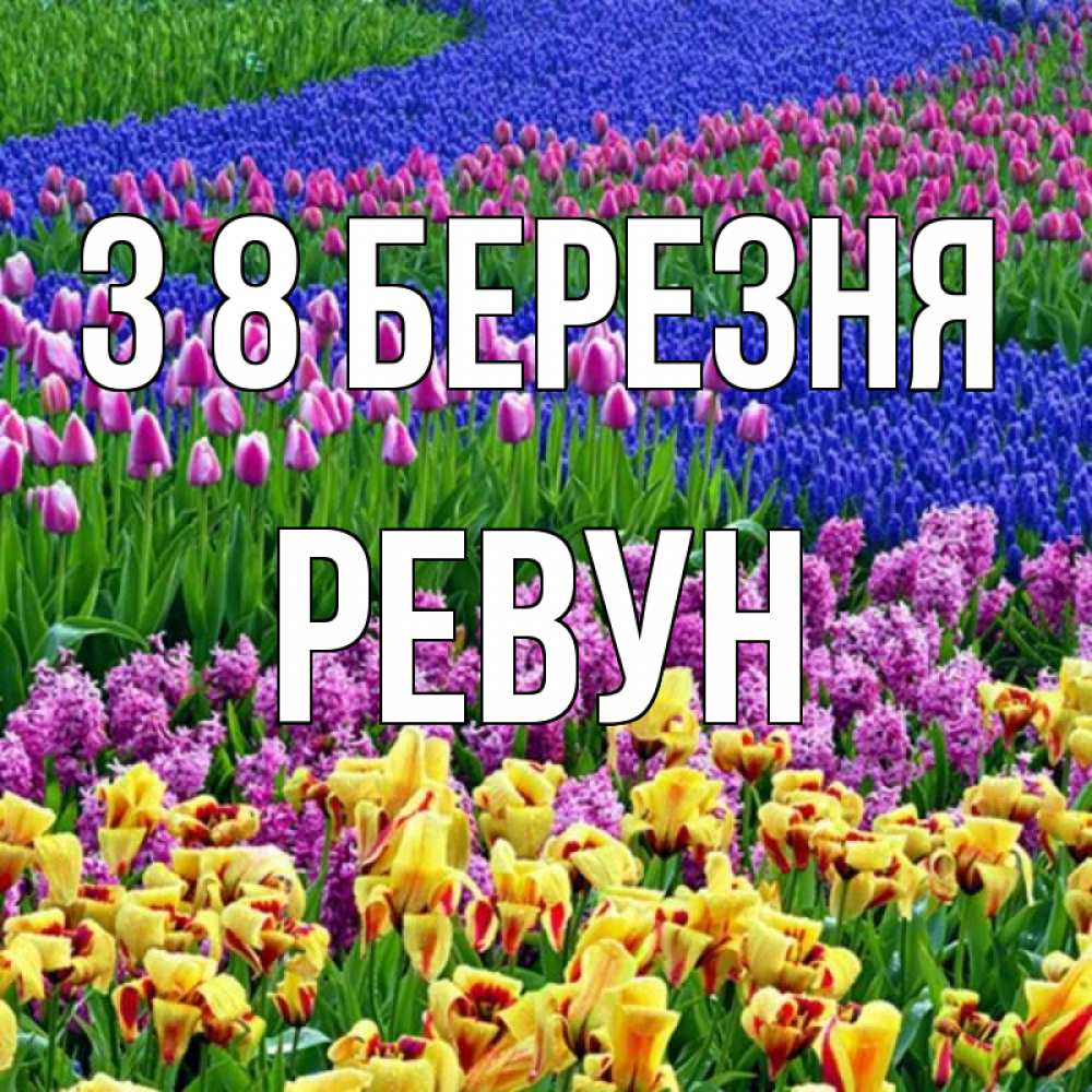 Открытка на каждый день з підписом, Ревун З 8 БЕРЕЗНЯ цветы Прикольна листівка з побажанням онлайн скачати безкоштовно 