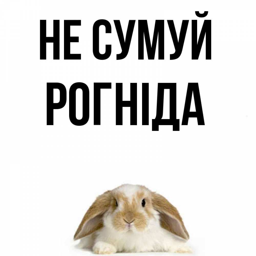 Открытка на каждый день з підписом, Рогніда Не сумуй коричнево белый заяц с большими ушками Прикольна листівка з побажанням онлайн скачати безкоштовно 