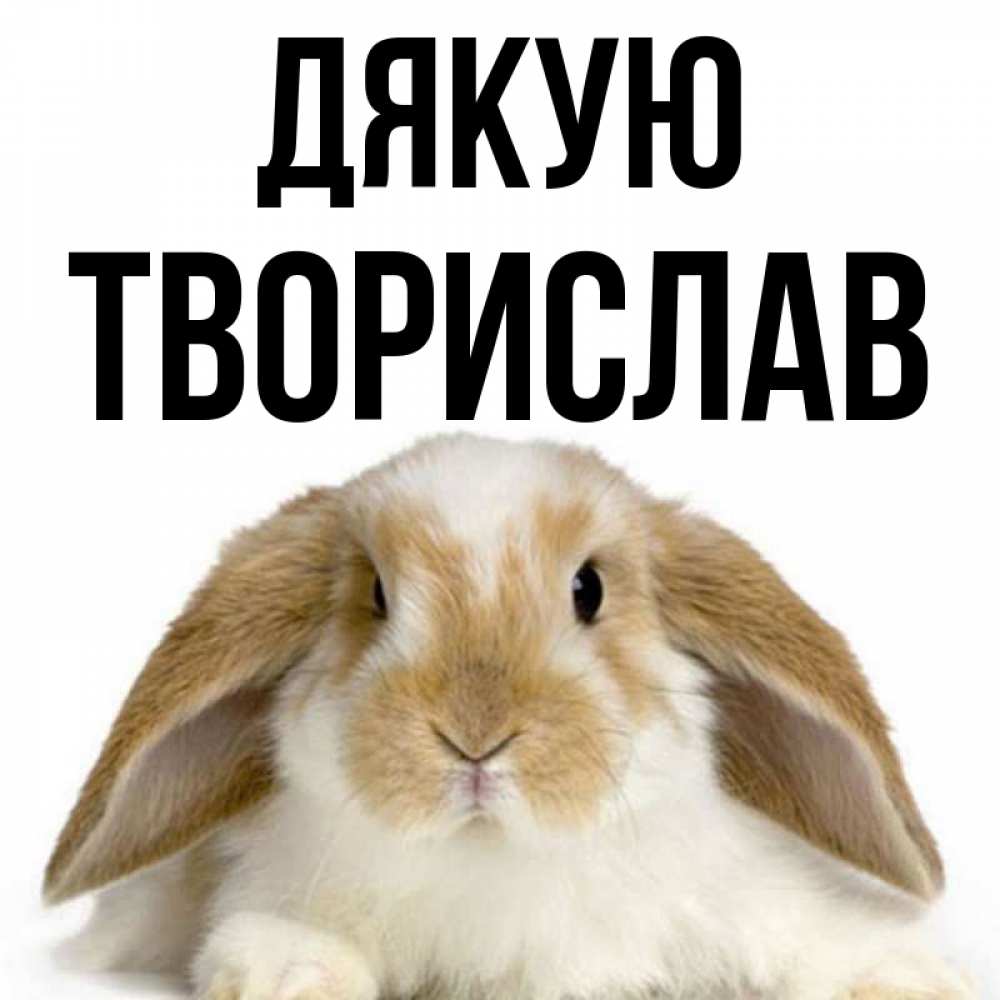 Открытка на каждый день з підписом, Творислав Дякую коричнево белый заяц Прикольна листівка з побажанням онлайн скачати безкоштовно 