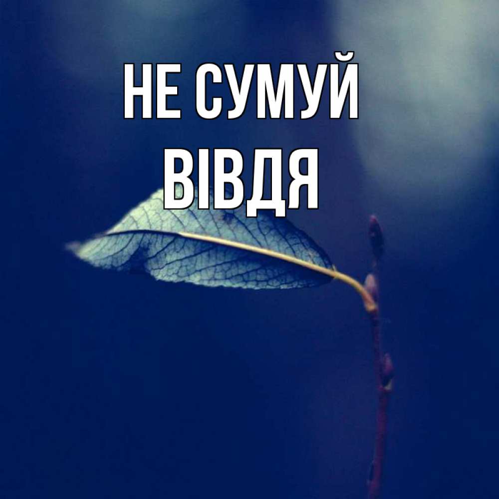 Открытка на каждый день з підписом, Вівдя Не сумуй растение Прикольна листівка з побажанням онлайн скачати безкоштовно 