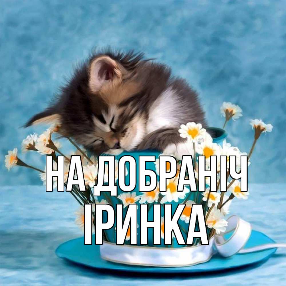 Открытка на каждый день з підписом, Іринка На добраніч котенок спит в кружке с блюдцем Прикольна листівка з побажанням онлайн скачати безкоштовно 