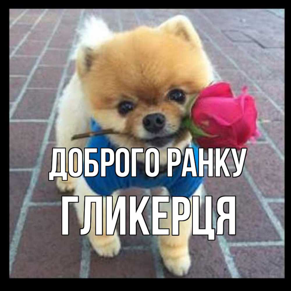 Открытка на каждый день з підписом, Гликерця Доброго ранку роза в зубах Прикольна листівка з побажанням онлайн скачати безкоштовно 