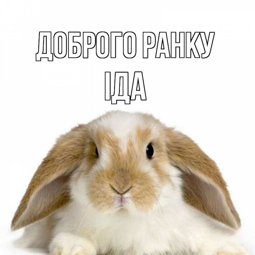 Открытка на каждый день з підписом, Іда Доброго ранку прикольные открытки на каждый день Прикольна листівка з побажанням онлайн скачати безкоштовно 