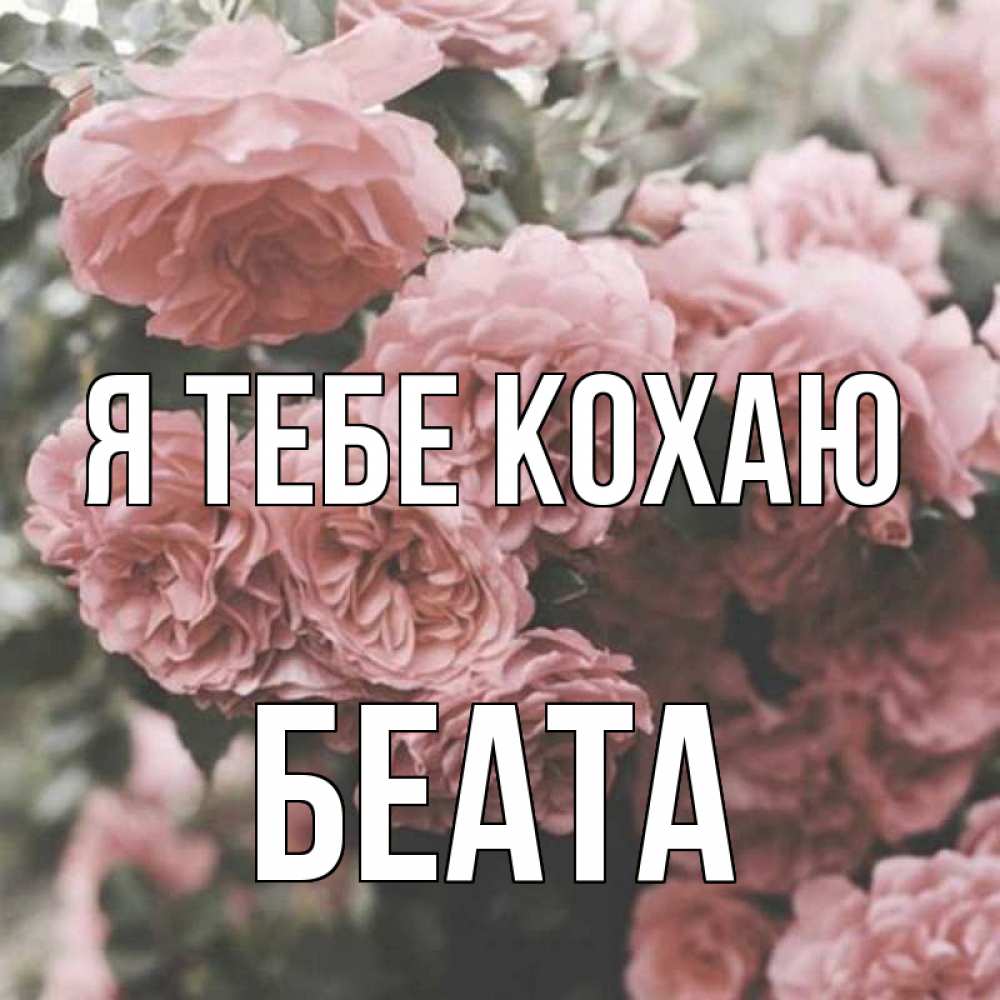 Открытка на каждый день з підписом, Беата Я тебе кохаю розы 3 Прикольна листівка з побажанням онлайн скачати безкоштовно 