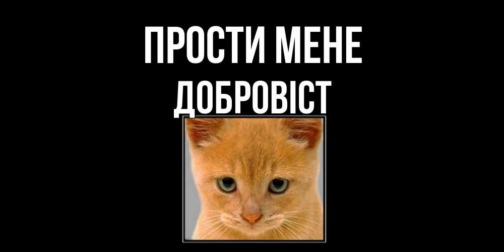 Открытка на каждый день з підписом, Добровіст Прости мене рыжий грустный кот просит прощения Прикольна листівка з побажанням онлайн скачати безкоштовно 