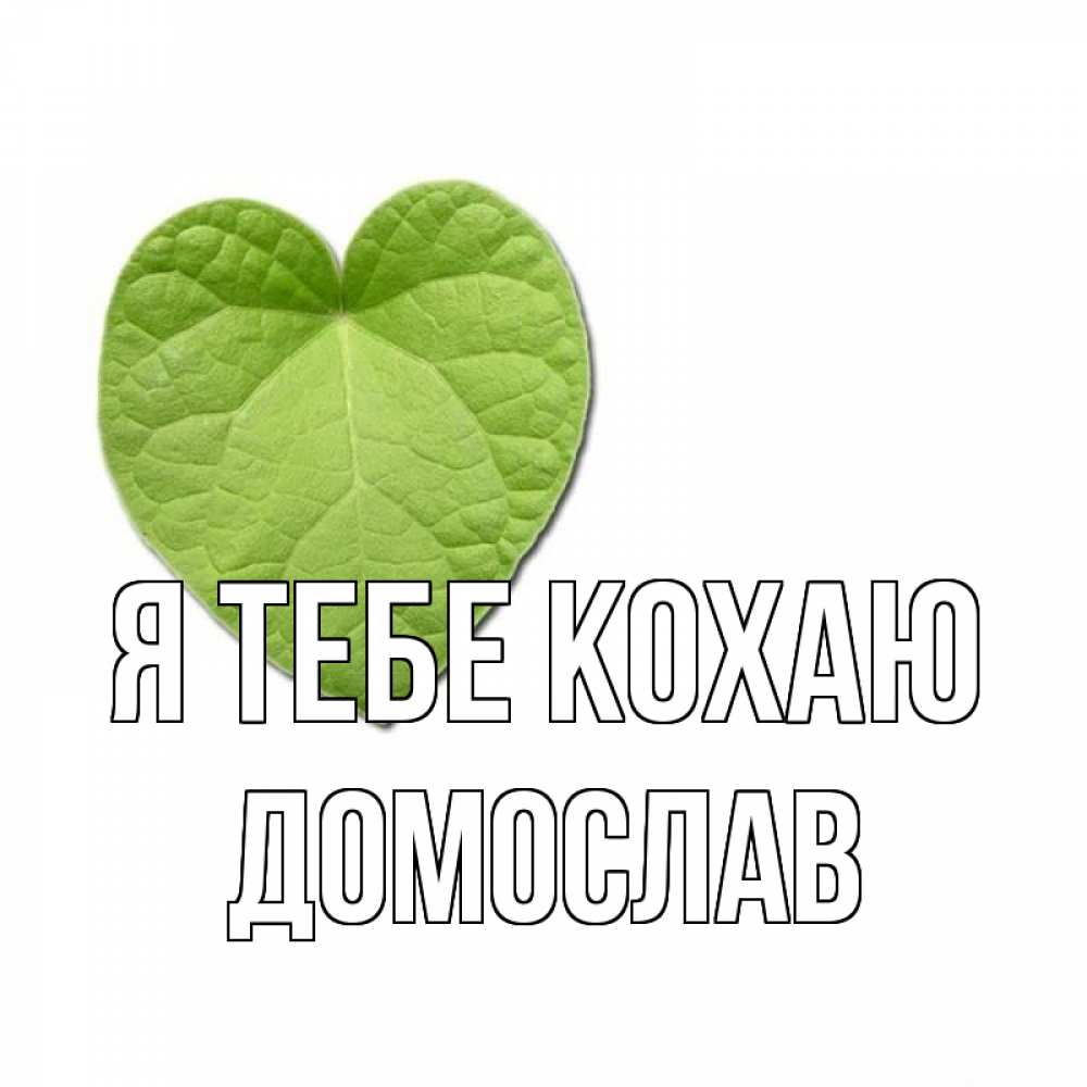 Открытка на каждый день з підписом, Домослав Я тебе кохаю тебе Прикольна листівка з побажанням онлайн скачати безкоштовно 