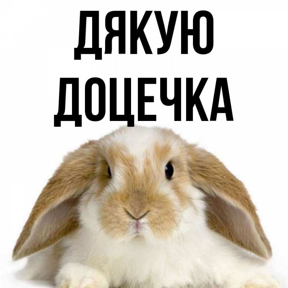 Открытка на каждый день з підписом, Доцечка Дякую коричнево белый заяц Прикольна листівка з побажанням онлайн скачати безкоштовно 