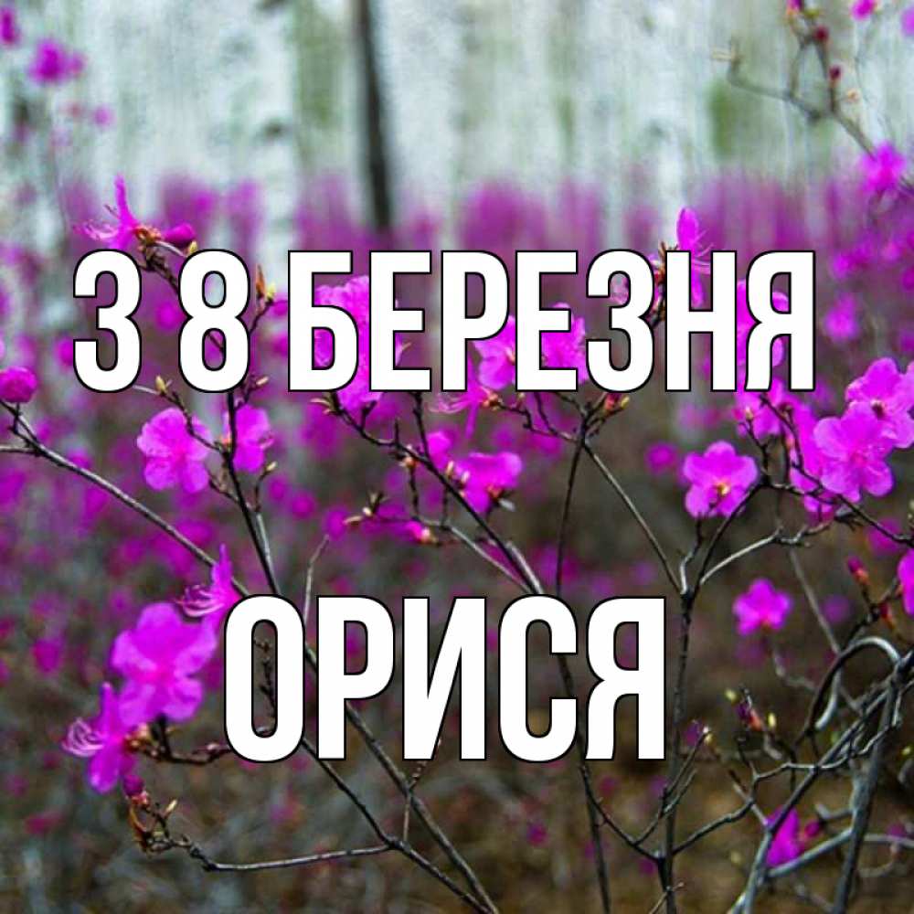 Открытка на каждый день з підписом, Орися З 8 БЕРЕЗНЯ дикие цветы Прикольна листівка з побажанням онлайн скачати безкоштовно 
