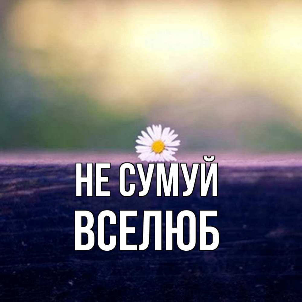 Открытка на каждый день з підписом, Вселюб Не сумуй красота Прикольна листівка з побажанням онлайн скачати безкоштовно 