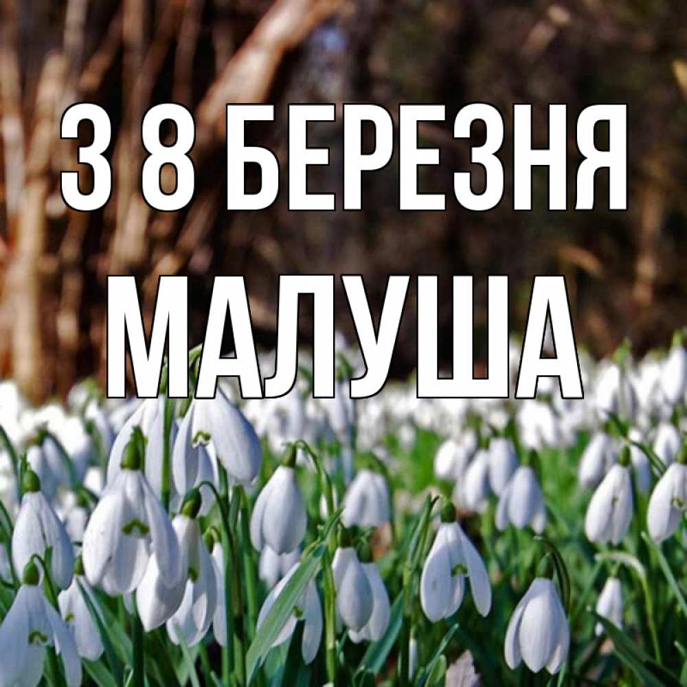 Открытка на каждый день з підписом, Малуша З 8 БЕРЕЗНЯ с подснежниками 1 Прикольна листівка з побажанням онлайн скачати безкоштовно 