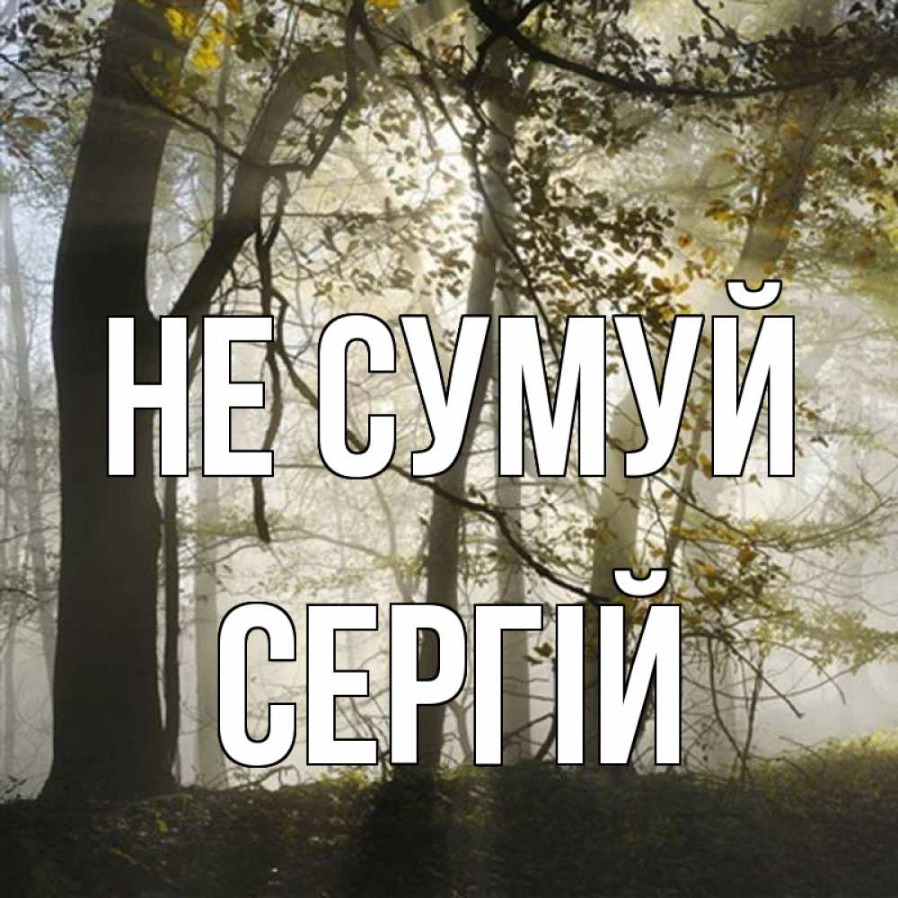 Открытка на каждый день з підписом, Сергій Не сумуй лес и свет Прикольна листівка з побажанням онлайн скачати безкоштовно 