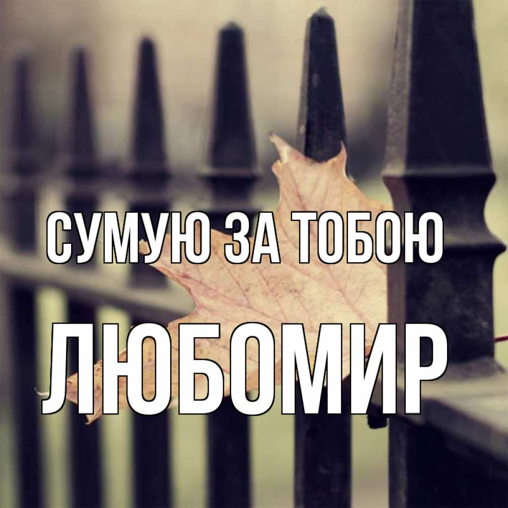 Открытка на каждый день з підписом, Любомир Сумую за тобою очень скучно Прикольна листівка з побажанням онлайн скачати безкоштовно 