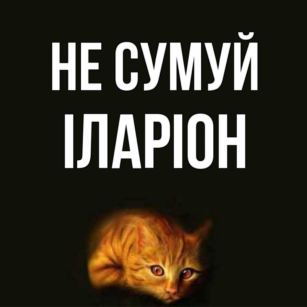 Открытка на каждый день з підписом, Іларіон Не сумуй лежащий кот в темноте Прикольна листівка з побажанням онлайн скачати безкоштовно 