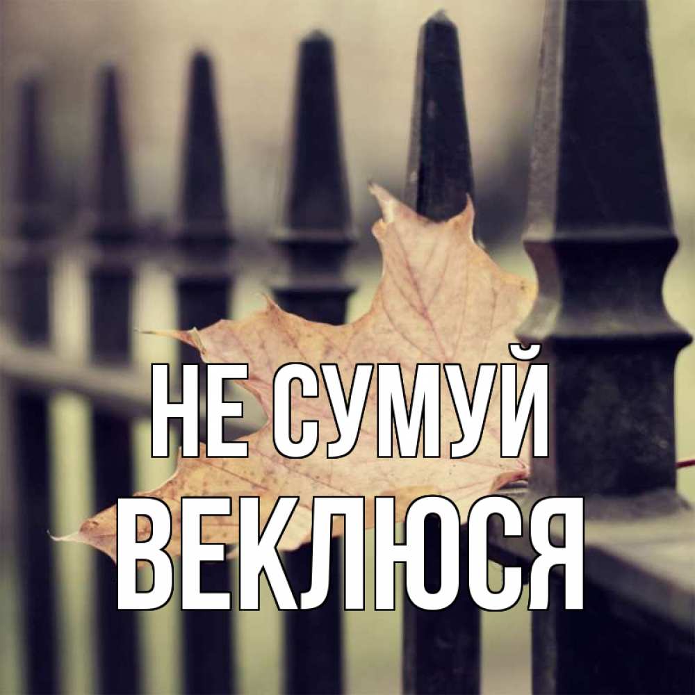 Открытка на каждый день з підписом, Веклюся Не сумуй лист клена Прикольна листівка з побажанням онлайн скачати безкоштовно 